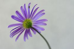 054