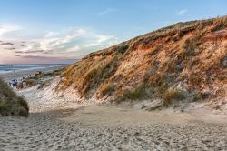 Sylt